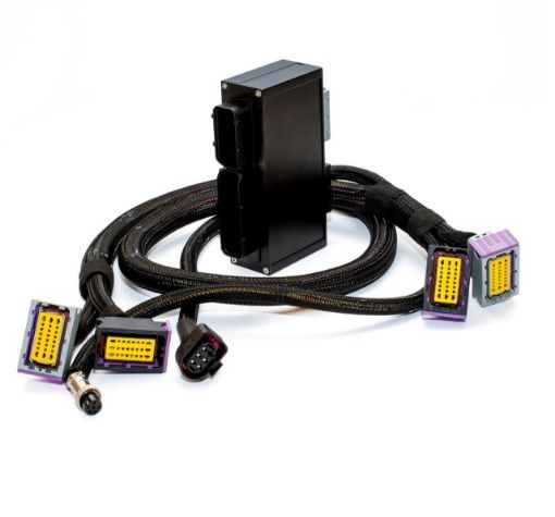 Billede af PnP stik for ECU master