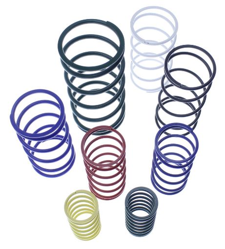 Billede af Replacement Springs - Wastegate