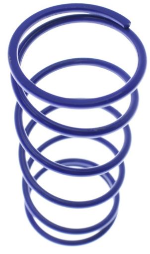 Billede af Middle replacement spring - OD 38.1mm - Blue