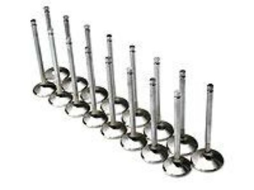 Billede af Brian Crower Toyota 2JZGTE/Lexus 2JZGE 29mm Exhaust Valves