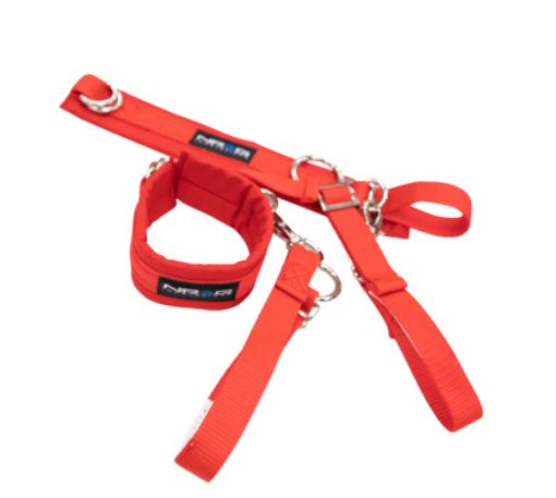 Billede af NRG SFI 3.3 Arm Restraints One Pair - Red