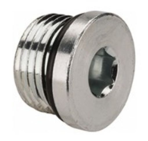 Billede af 1/4 Bspp plug