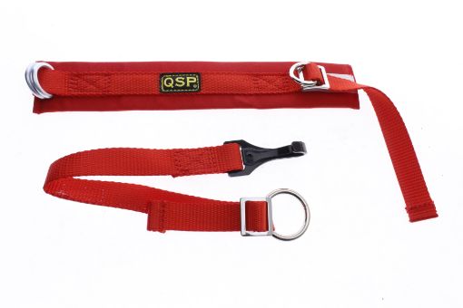 Billede af QSP Arm strop - Arm restraints SFI 3.3 Approval - RED