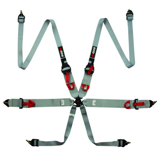 Billede af RRS FIA 3" 2" R6 HANS® 2,8 Kg Grå Sikkerhedssele