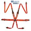 Billede af RRS FIA 3" 2" R6 HANS® 2,8 Kg Orange Sikkerhedssele