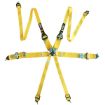 Billede af RS FIA 3" 2" R6 HANS® 2,8 Kg Gul Sikkerhedssele