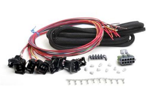 Billede af Holley EFI Systems Wiring Harnesses 558-204