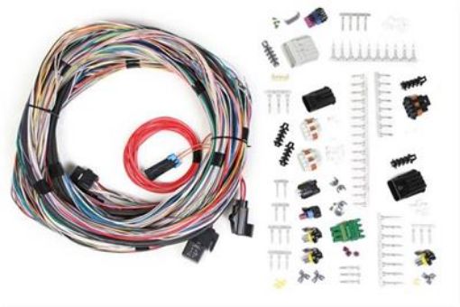Billede af Holley EFI Systems Wiring Harnesses 558-105