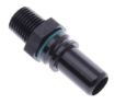 Billede af AN8 - 1/4"NPT - Black