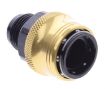 Billede af AN male quick connect adapter -Black/Gold - AN10