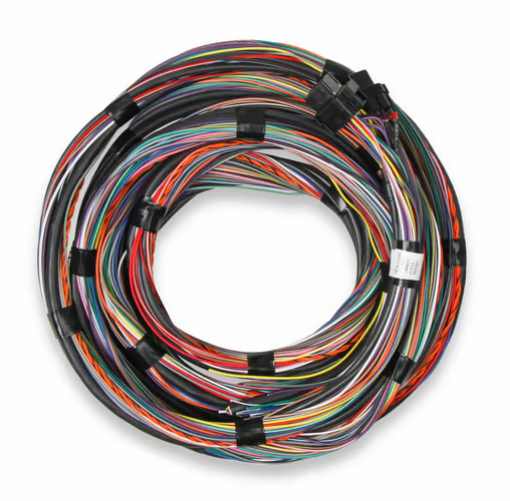 Billede af Holley EFI hovedledningsnet 4,57 meter – I1A/I1B stik
